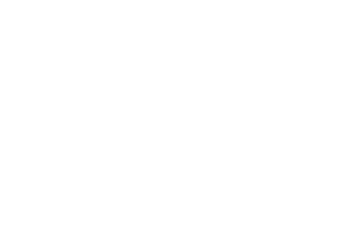 Vehicle Vitals